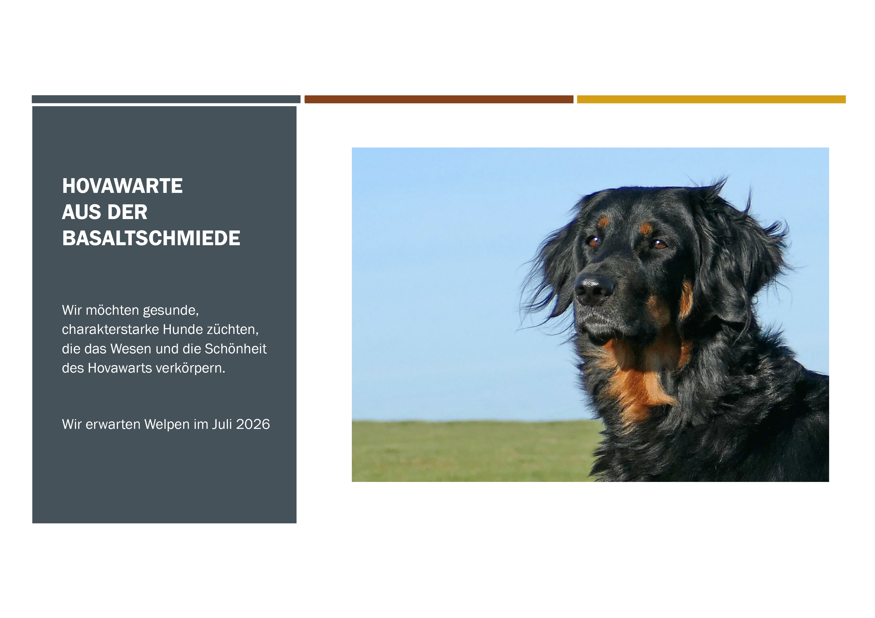 Steckbrief Louisa