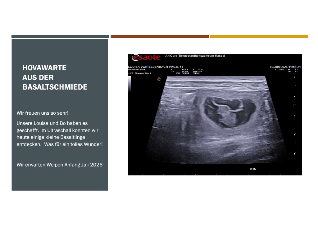 Steckbrief Louisa
